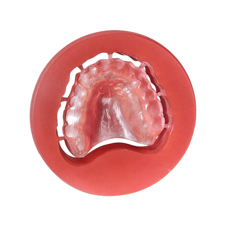 Modeling PEEK Blanks